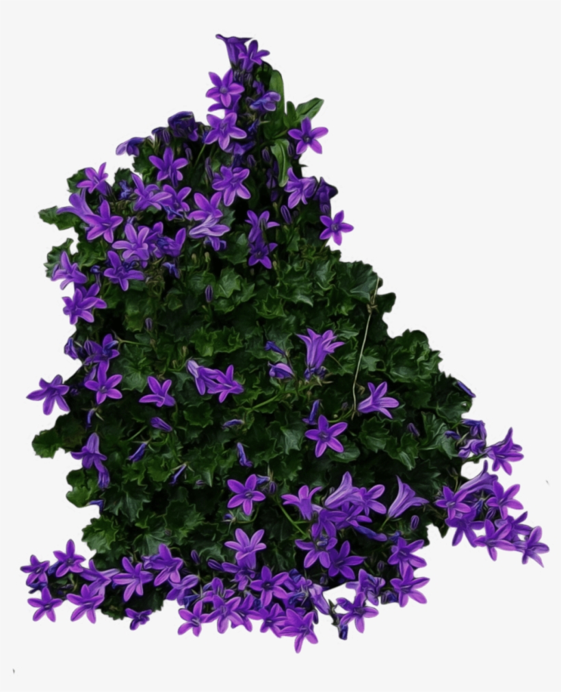 Detail Flower Bushes Png Nomer 13