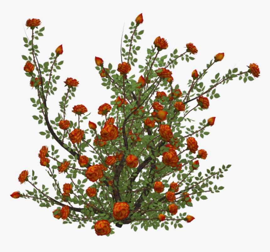 Detail Flower Bushes Png Nomer 23