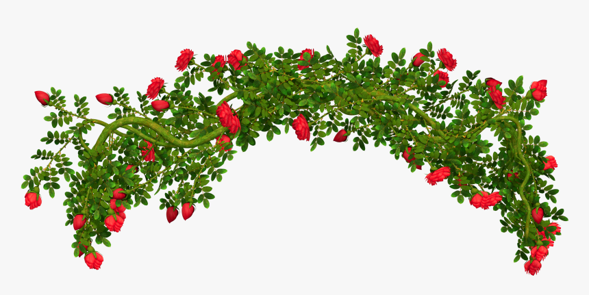 Detail Flower Bushes Png Nomer 37