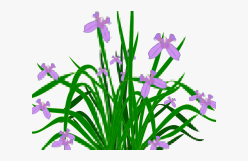 Detail Flower Bushes Png Nomer 41