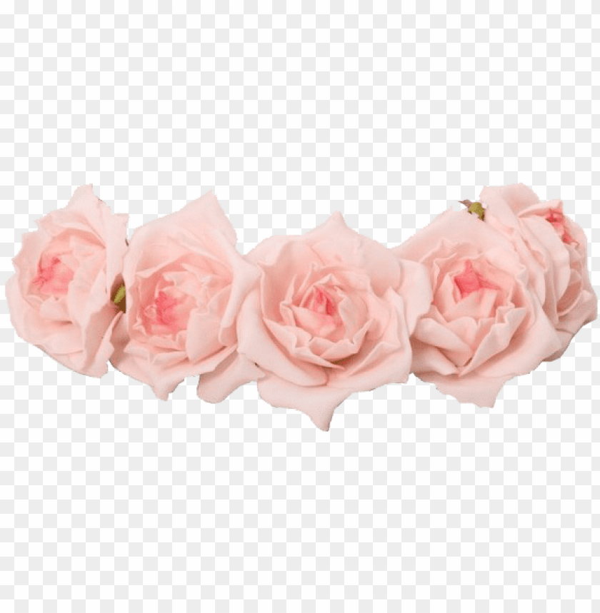 Flower Crown Transparent - KibrisPDR