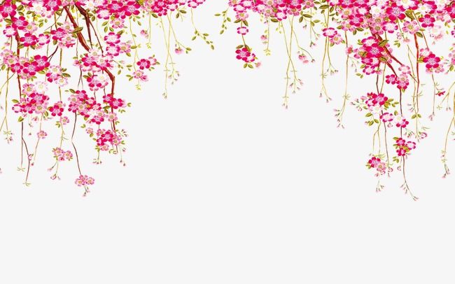 Detail Flower Frame Png Vector Nomer 50