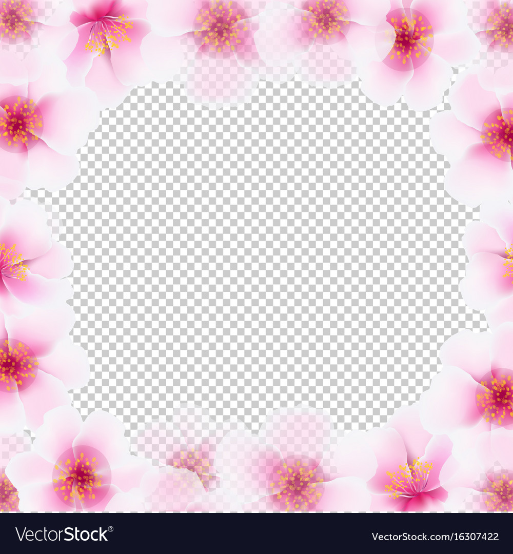 Detail Flower Frame Transparent Background Nomer 30