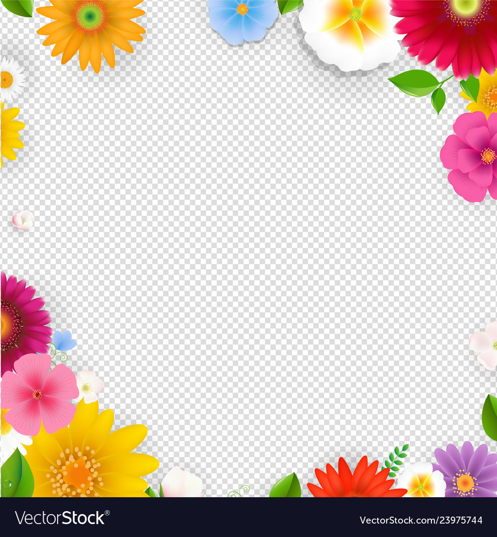 Detail Flower Frame Transparent Background Nomer 4