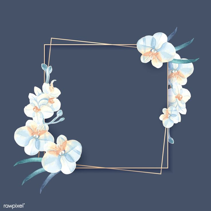 Detail Flower Frame Tumblr Nomer 20