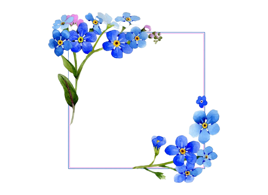 Detail Flower Frames Png Nomer 26