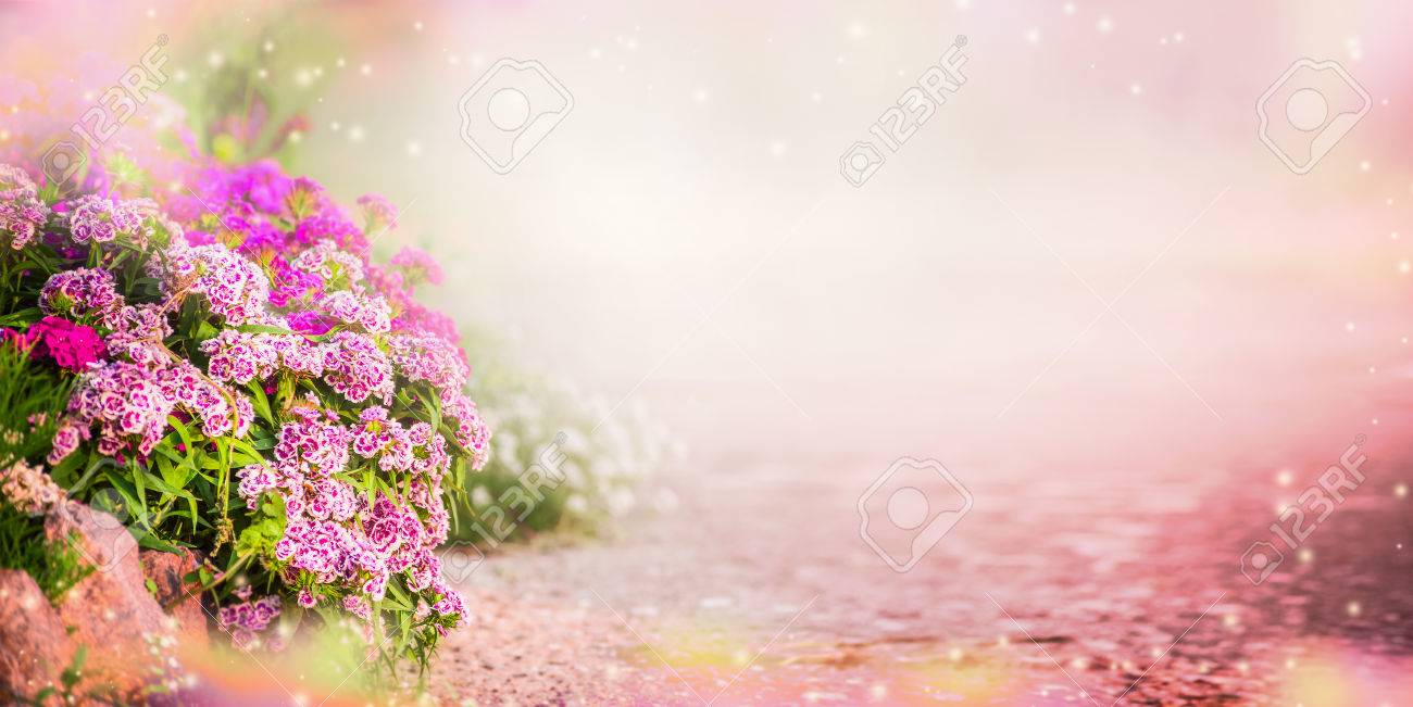 Detail Flower Garden Background Nomer 36