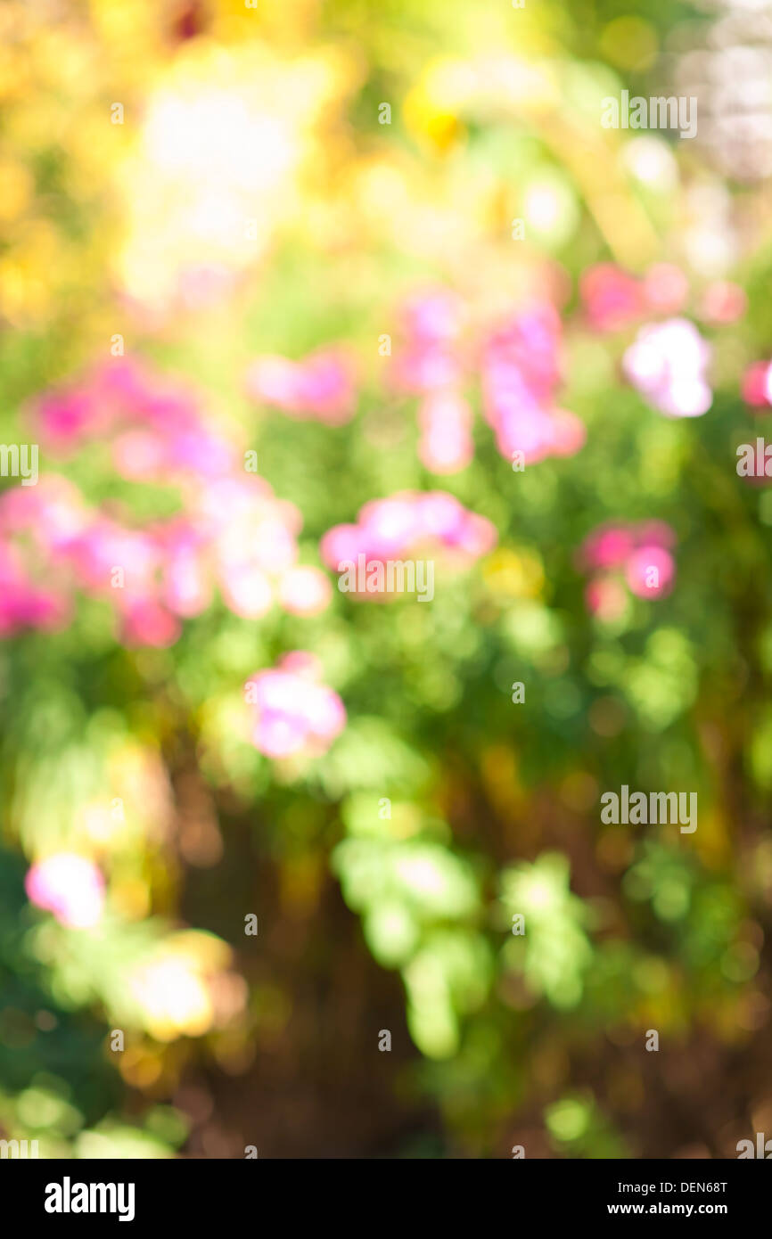 Detail Flower Garden Background Nomer 45