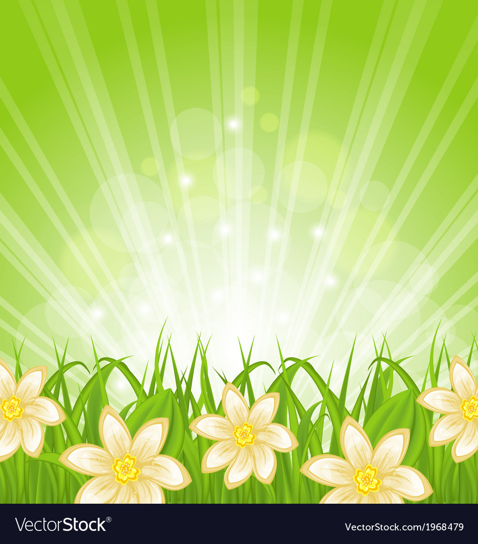 Detail Flower Green Background Nomer 18