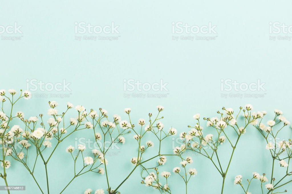 Detail Flower Green Background Nomer 41