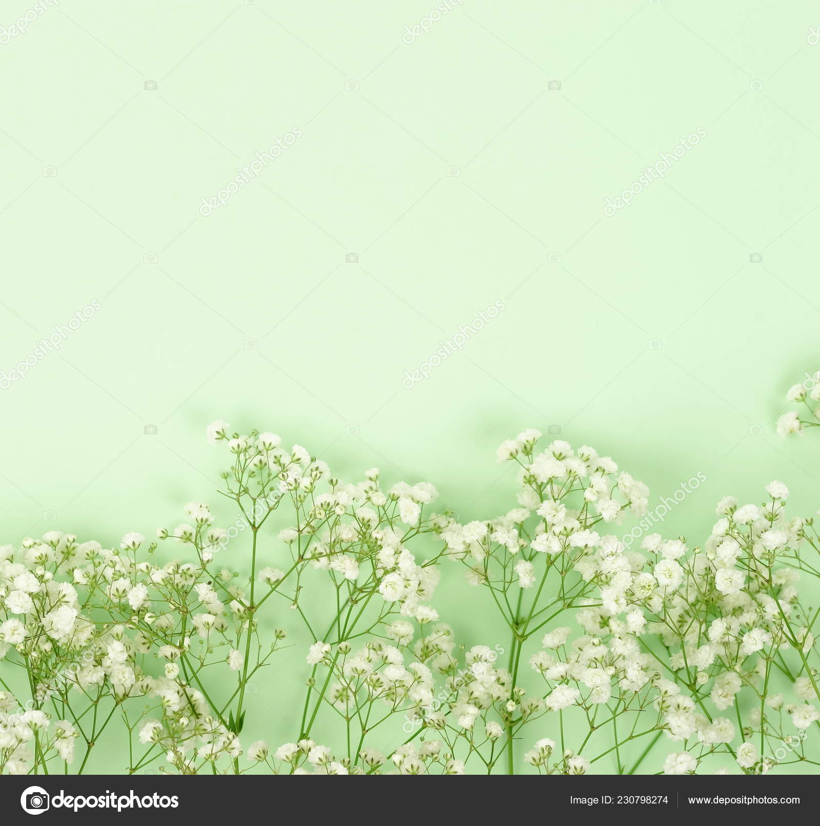 Detail Flower Green Background Nomer 8