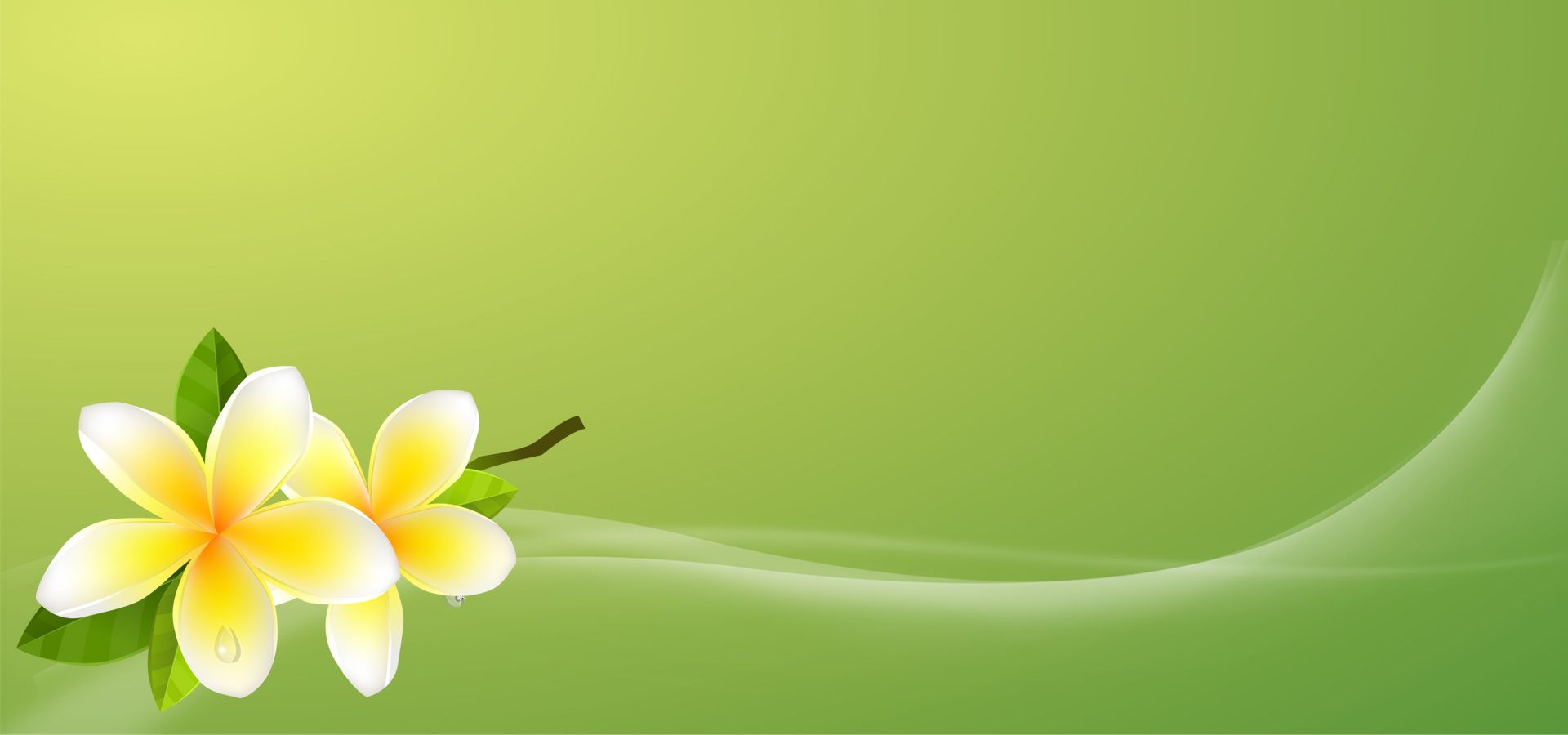 Detail Flower Green Background Nomer 9