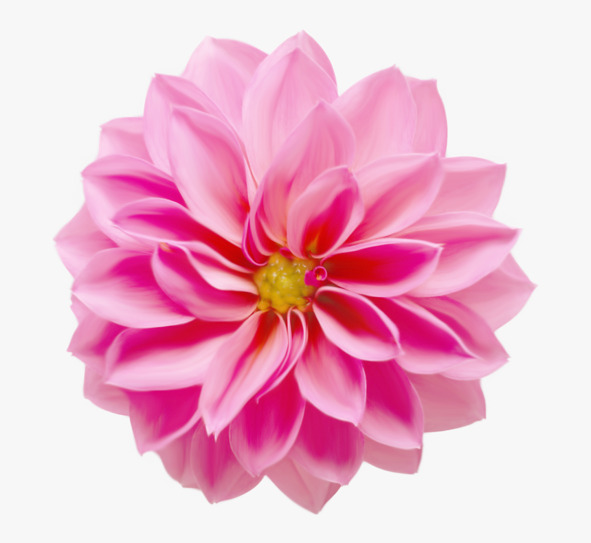 Detail Flower Hd Png Nomer 47