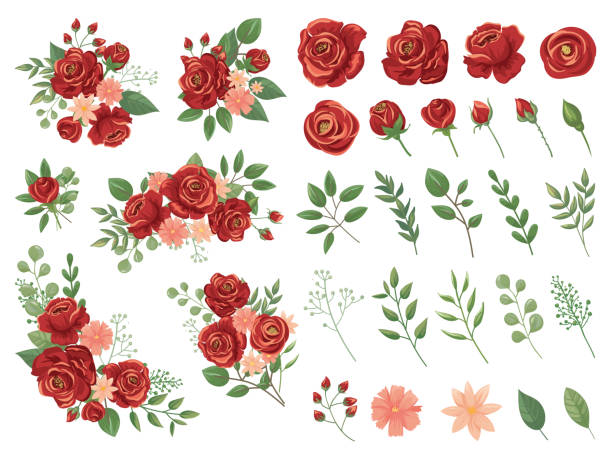 Detail Flower Images Rose Nomer 34