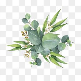 Detail Flower Leaf Png Nomer 8