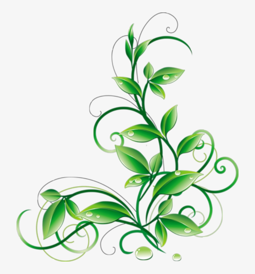 Detail Flower Leaves Png Nomer 49