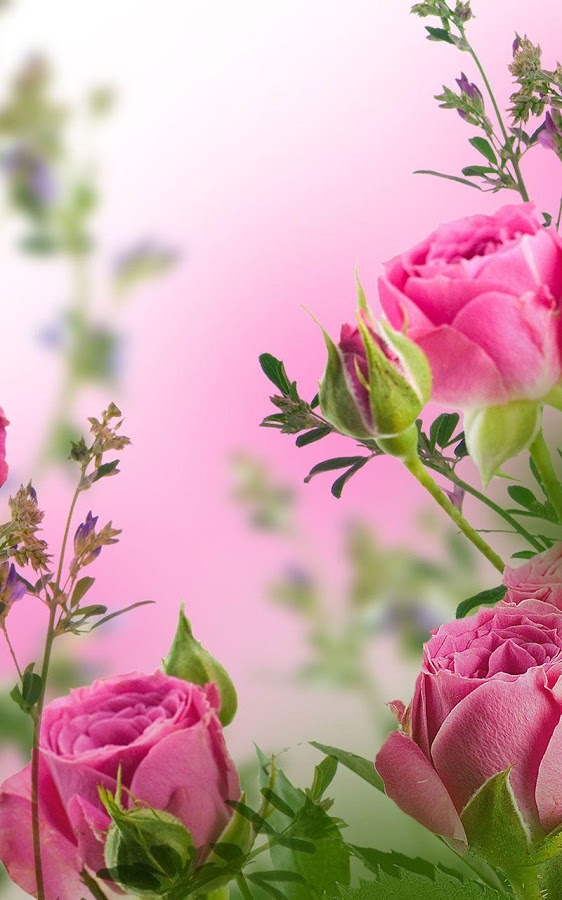 Detail Flower Live Wallpaper Nomer 17