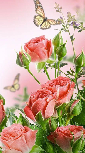 Download Flower Live Wallpaper Nomer 20