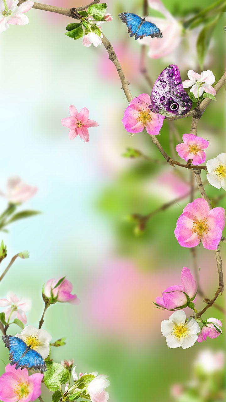 Detail Flower Live Wallpaper Nomer 6