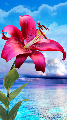 Detail Flower Live Wallpaper Nomer 9