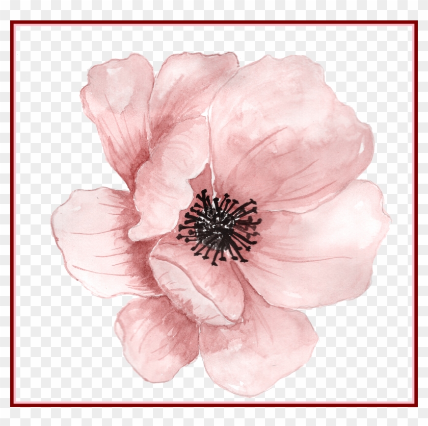 Detail Flower Paint Png Nomer 21