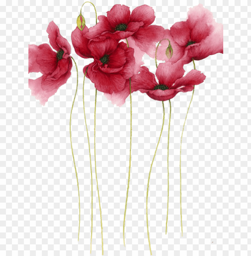 Detail Flower Painting Png Nomer 14