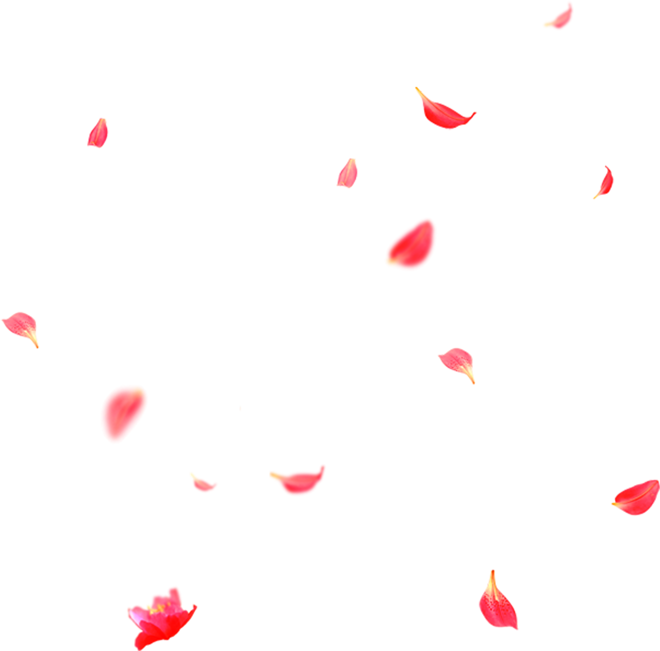 Detail Flower Petals Png Nomer 20