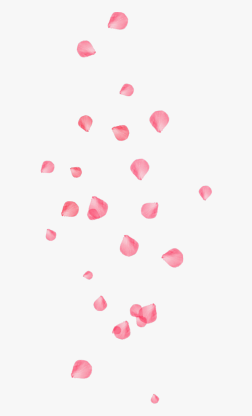 Detail Flower Petals Png Nomer 36