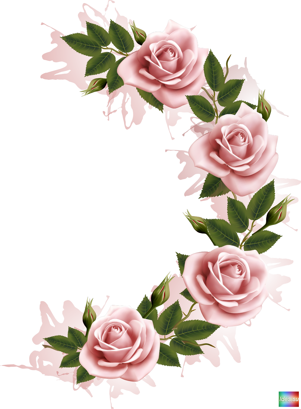 Detail Flower Photo Frames Free Download Nomer 11