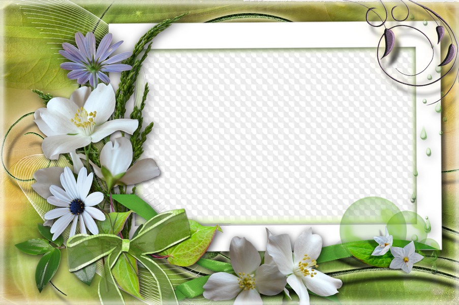 Detail Flower Photo Frames Free Download Nomer 21
