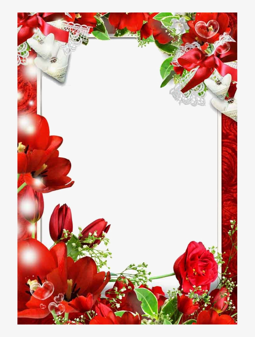 Detail Flower Photo Frames Free Download Nomer 22