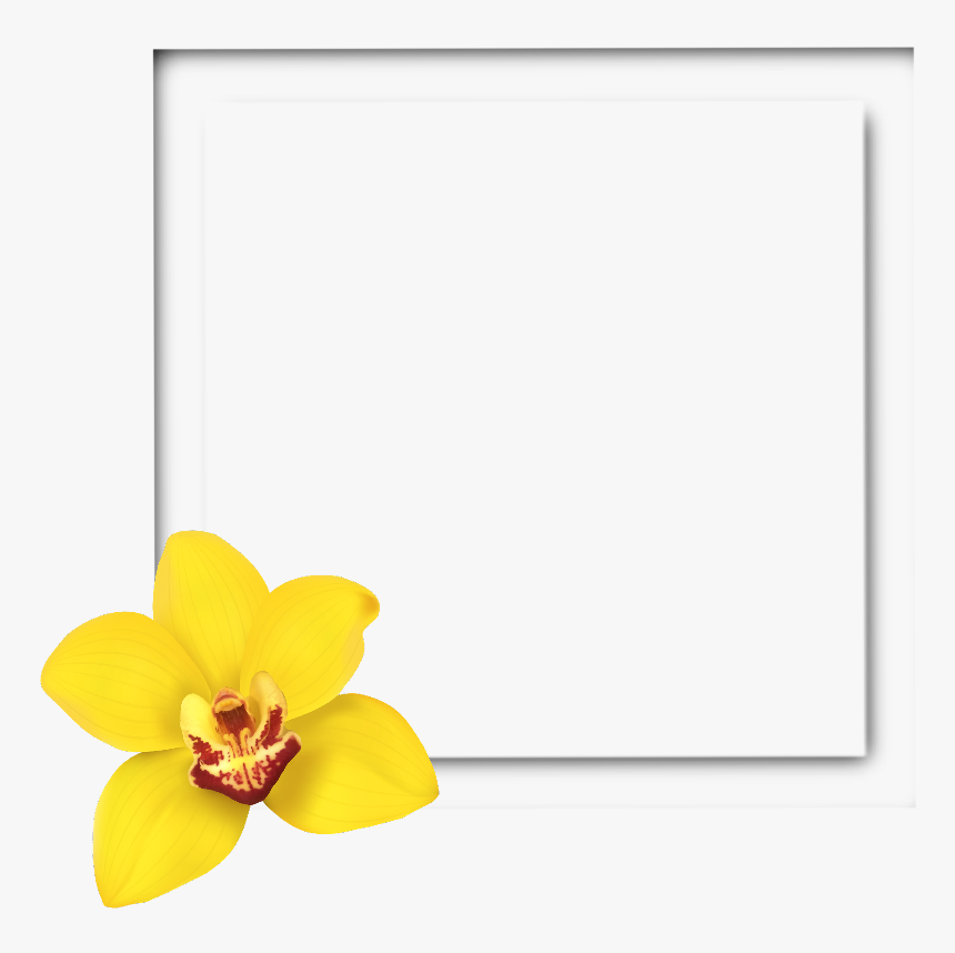 Detail Flower Photo Frames Free Download Nomer 38