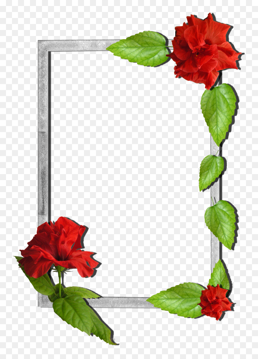 Detail Flower Photo Frames Free Download Nomer 42