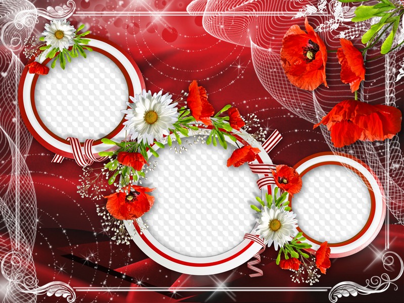 Detail Flower Photo Frames Free Download Nomer 46