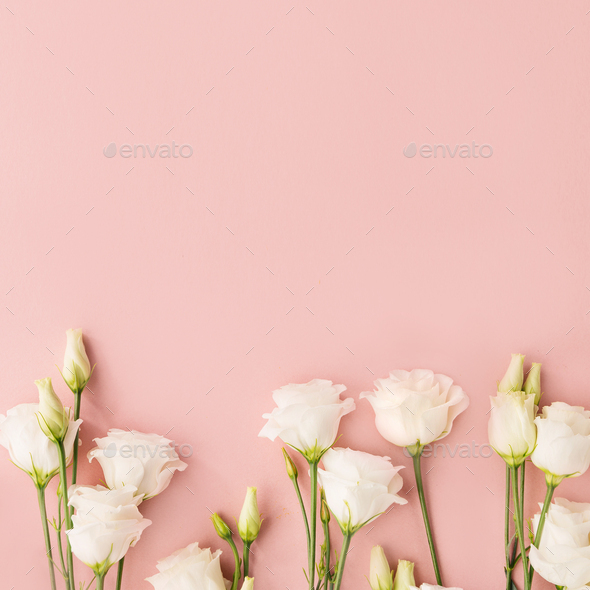 Detail Flower Pink Background Nomer 19