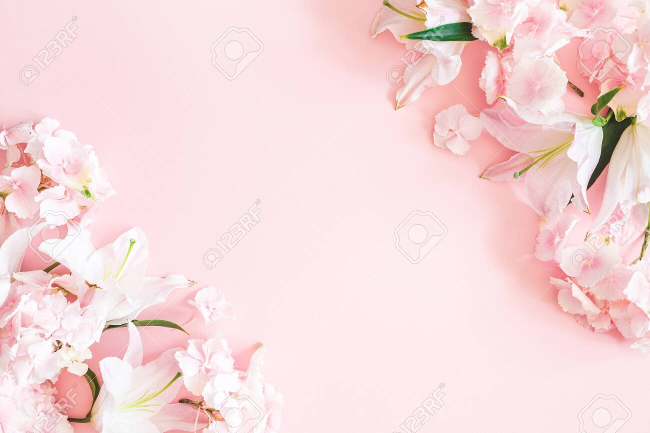 Detail Flower Pink Background Nomer 30