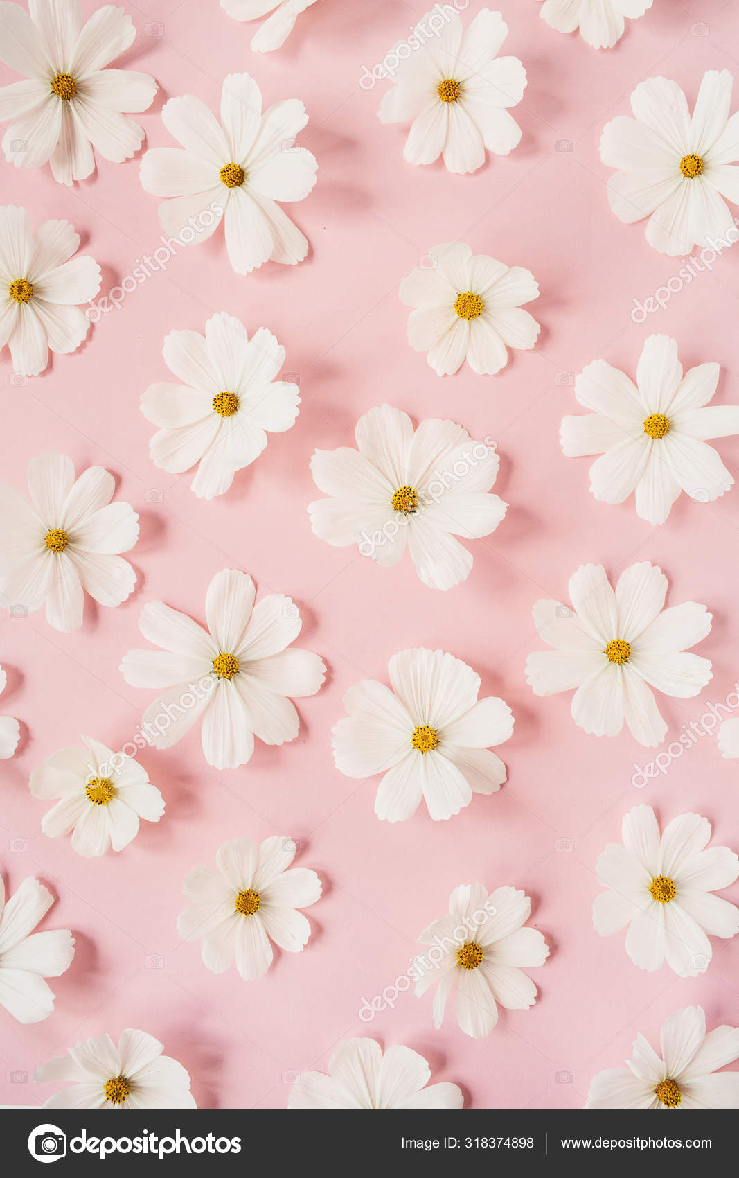 Detail Flower Pink Background Nomer 44