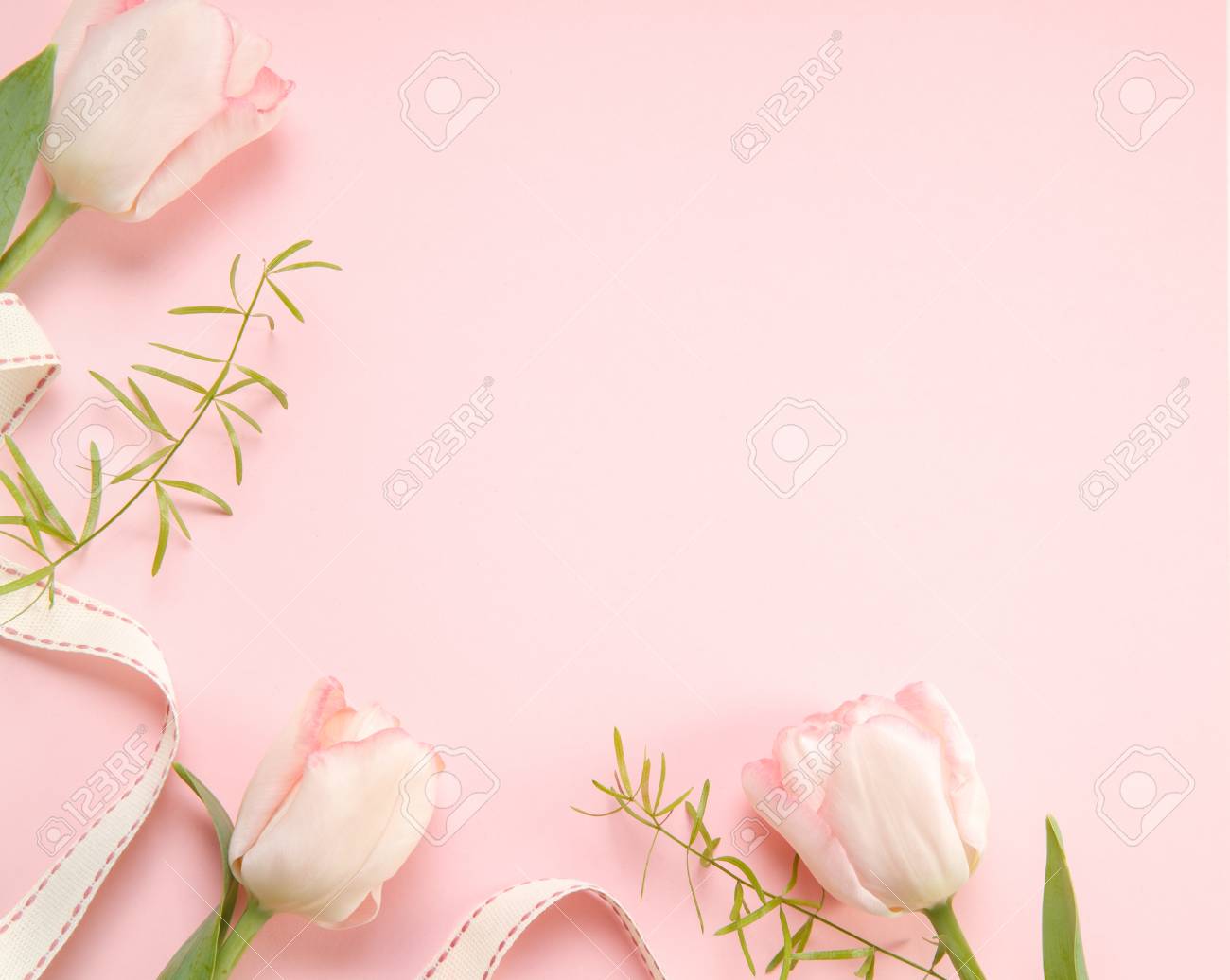 Detail Flower Pink Background Nomer 9