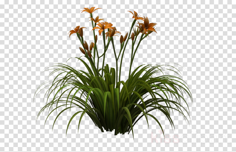 Detail Flower Plant Png Nomer 28