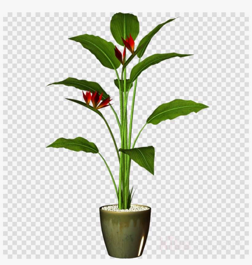 Detail Flower Plant Png Nomer 30