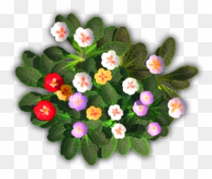 Detail Flower Plant Top View Png Nomer 25