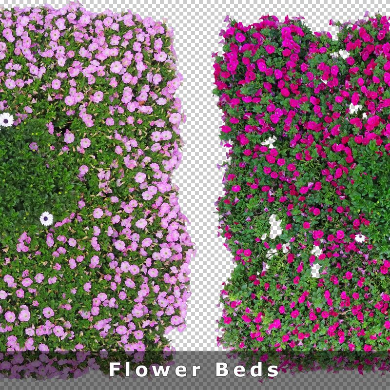 Detail Flower Plant Top View Png Nomer 32