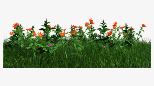 Flower Plants Png - KibrisPDR