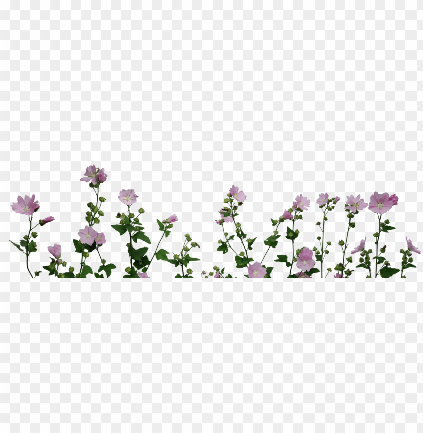 Detail Flower Plants Png Nomer 6