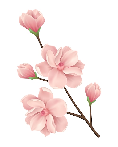 Detail Flower Png Nomer 3