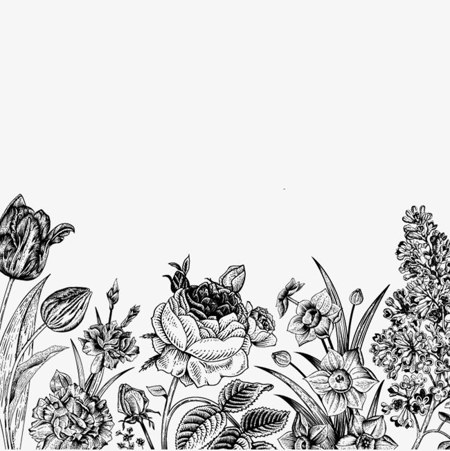 Download Flower Png Black And White Nomer 10