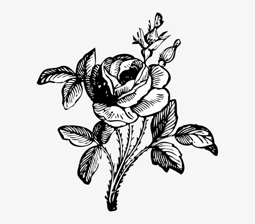 Detail Flower Png Black And White Nomer 14