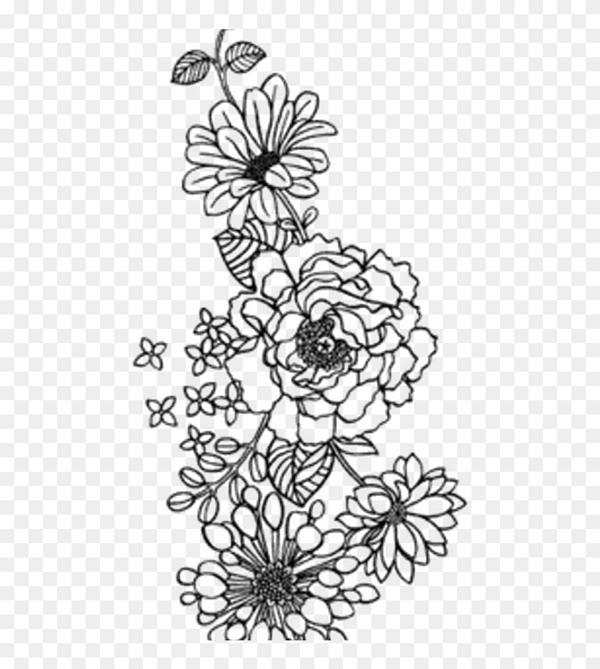 Detail Flower Png Black And White Nomer 20