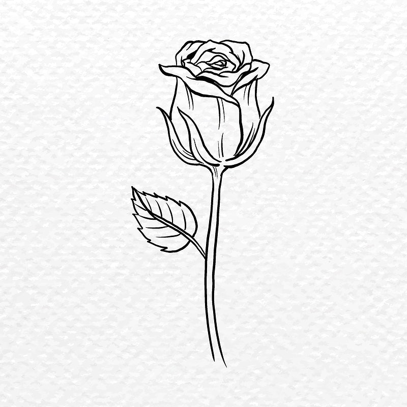 Detail Flower Png Black And White Nomer 37