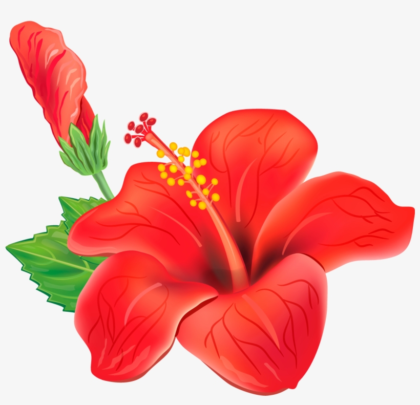 Detail Flower Png Clipart Nomer 26